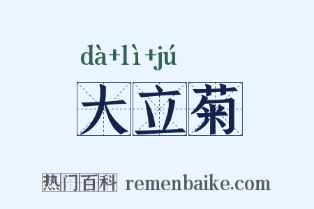 大立菊是什么意思的图片